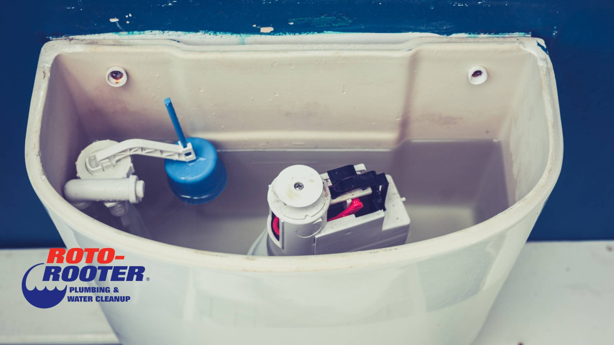 How to Clean a Toilet Tank