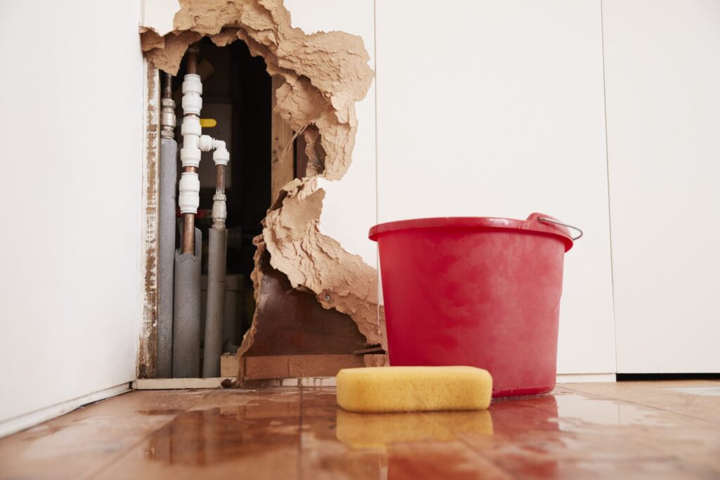 water damage cleanup and restoration