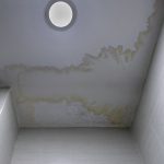 mold after water damage