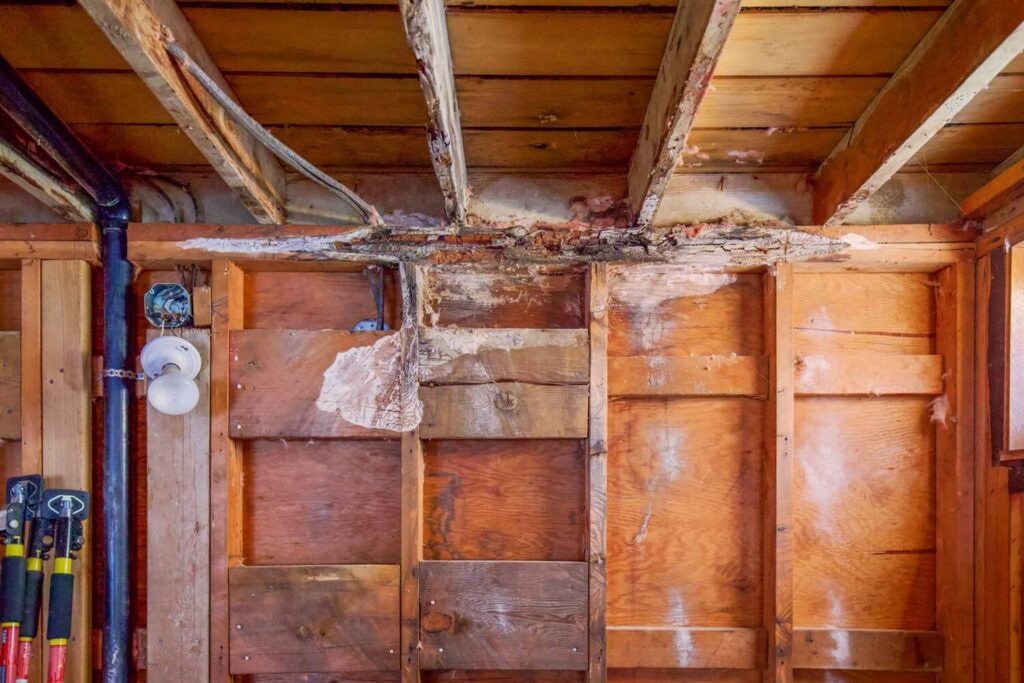 Dry rot bathroom wall water damage repair company in Alabama
