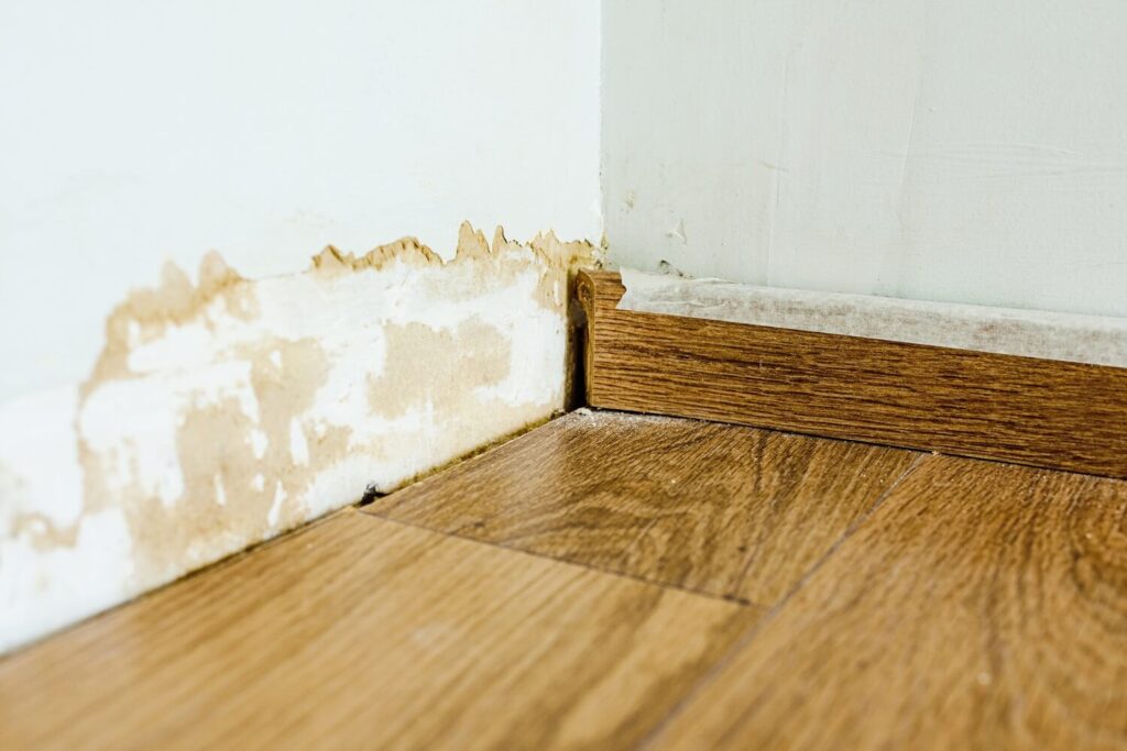 mold damage due to leaking water behind wall