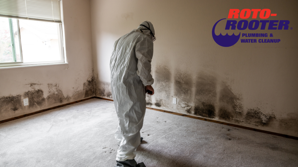 Why Faster Water Cleanup Prevents Mold Growth in Your Home or Business