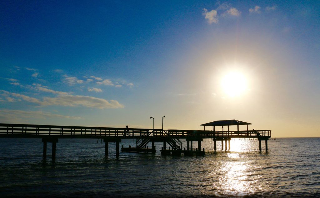 Roto Rooter in Daphne, AL